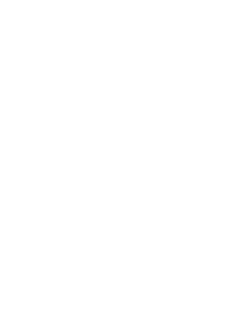 icon-1-white