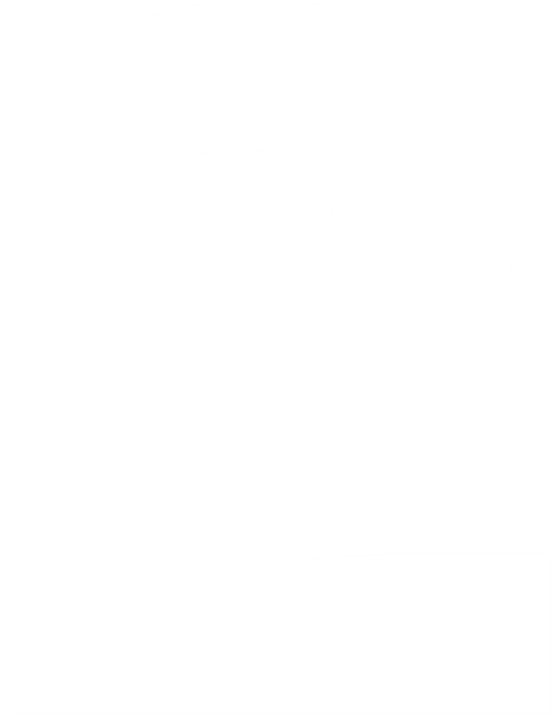 icon-2-white